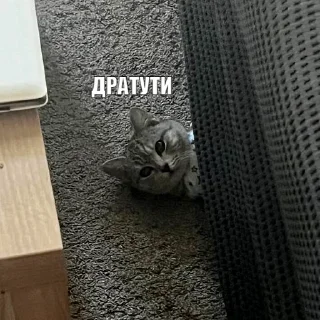 👋
