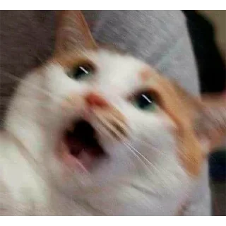 😧