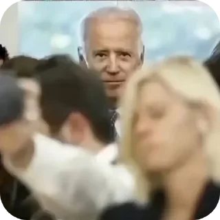 🐶