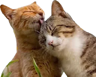 😘