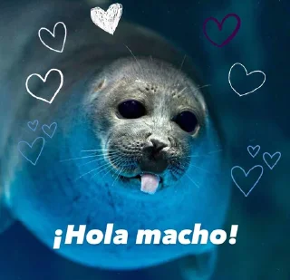 😘