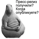 🙊