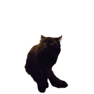 😨