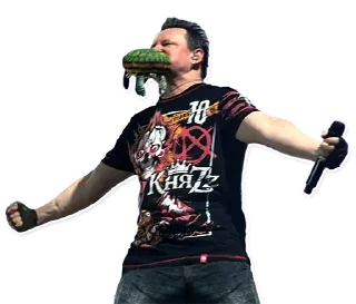 🐢