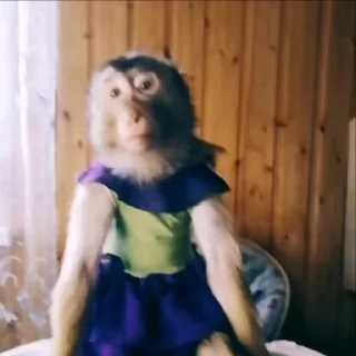 😇