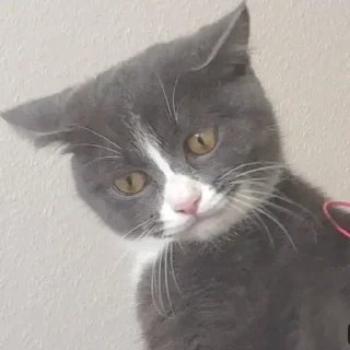 🤨