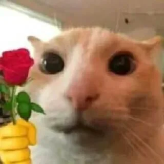 🌹