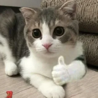 🥺