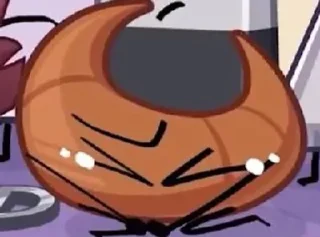 🌟