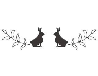 🐇