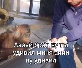 🤣