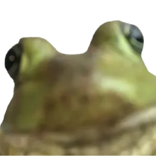 🐸
