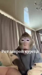 😍