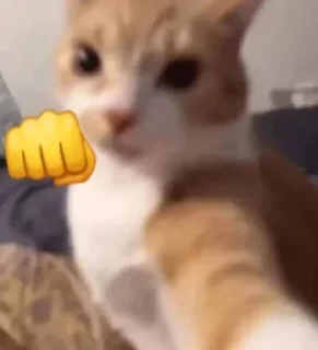 👊
