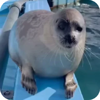 ☺️