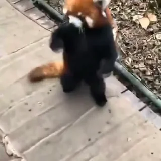 😁