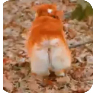 👍