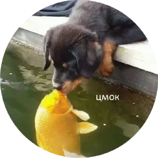 😚