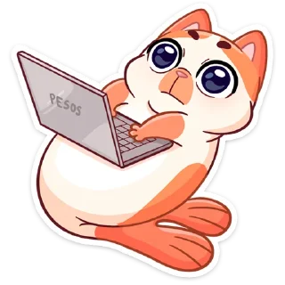 💻