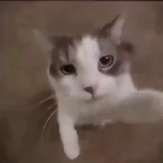 🥰