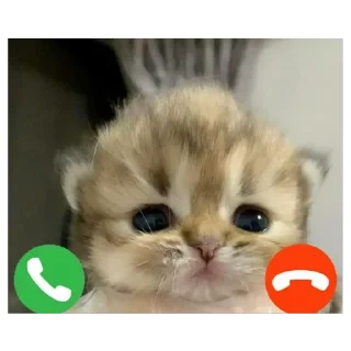🥰