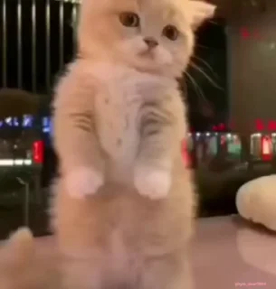 😣