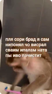 🌟