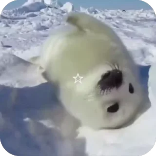 🥰