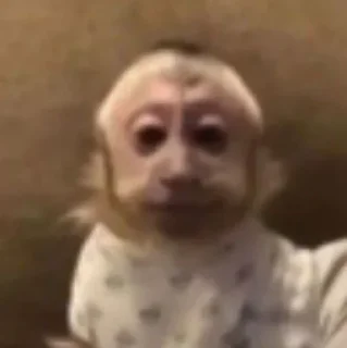 😶