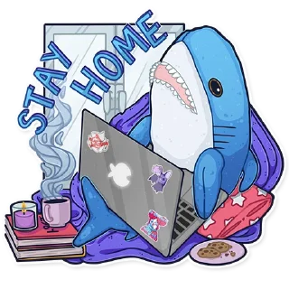 🦈