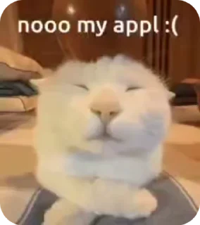 🌟