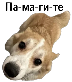 🫨