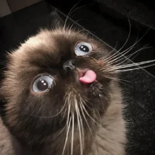 😛