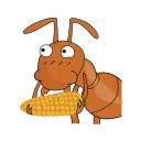 🌽