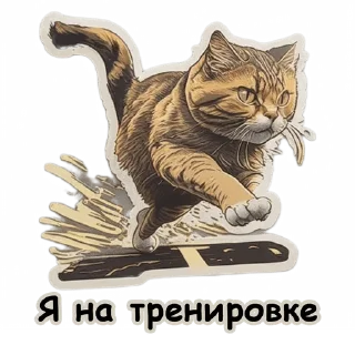 🏃