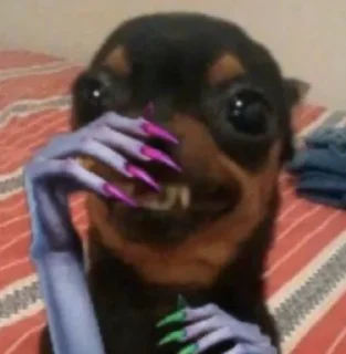 🐕