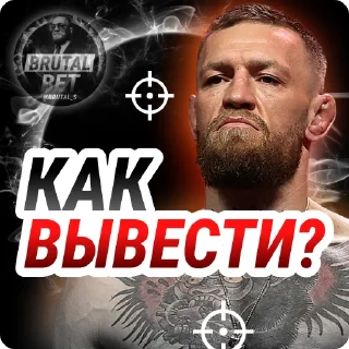 BRUTAL BET - https://t.me/+zavUUkTmhqw1OWYy