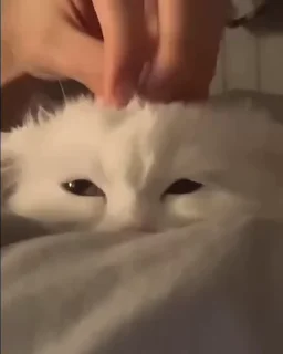 🥰