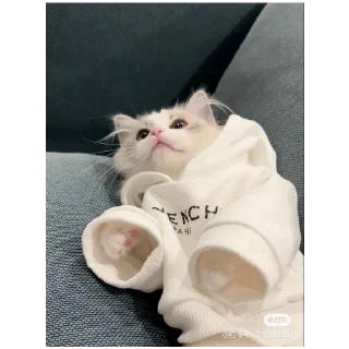 😆