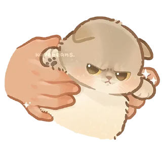 😠