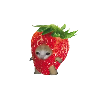 🍓