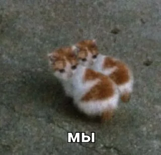 😭