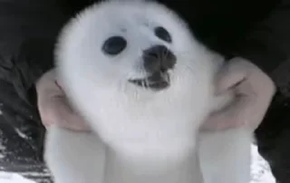 😀