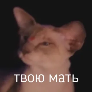 😐