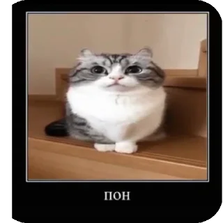 🤔