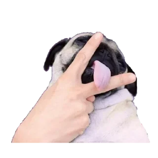 😐