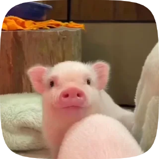 ☺️