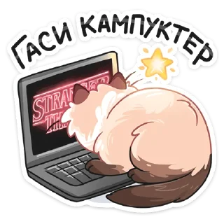 💻