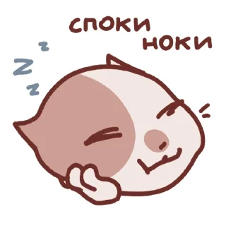 😴