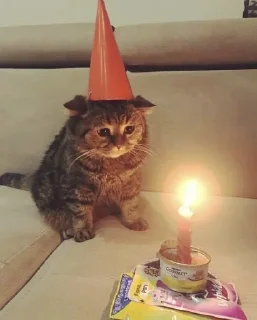 🍰